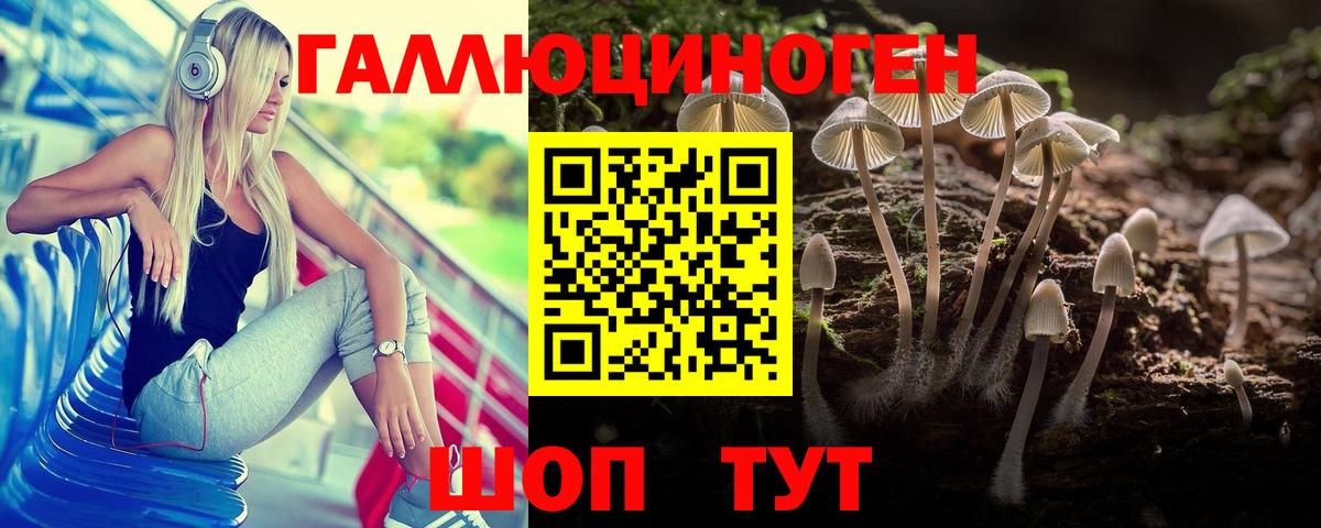 Псилоцибиновые грибы MAGIC MUSHROOMS  Вход с VPN  Псилоцибиновые грибы Magic Shrooms  Реутов 